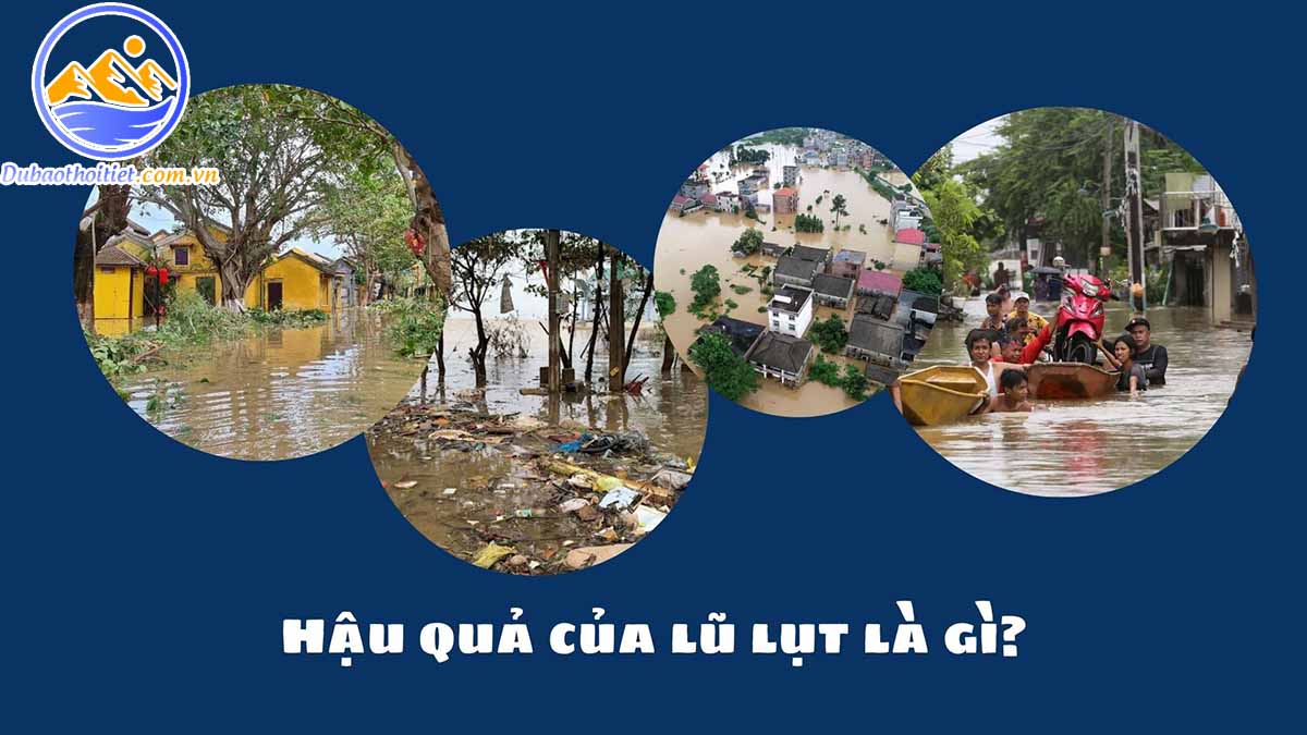 Hậu quả của lũ lụt là gì? 