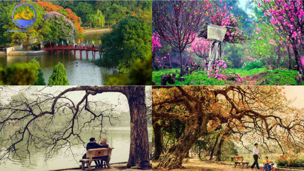 Khí hậu Hà Nội bốn mùa trong năm