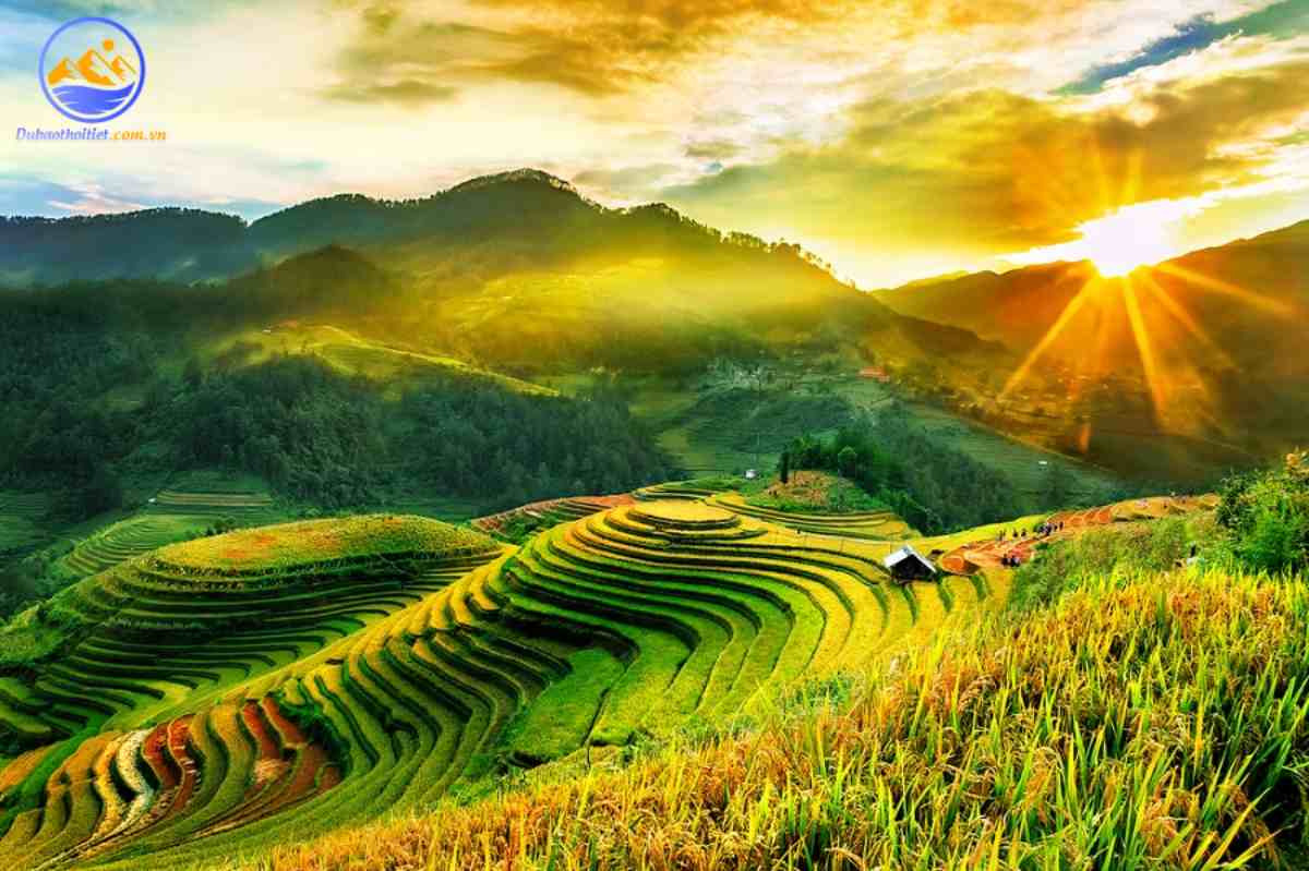 Khí hậu Sapa mùa hè không quá gay gắt với cảnh đẹp của rừng cây, thửa ruộng bậc thang lúa xanh tươi.