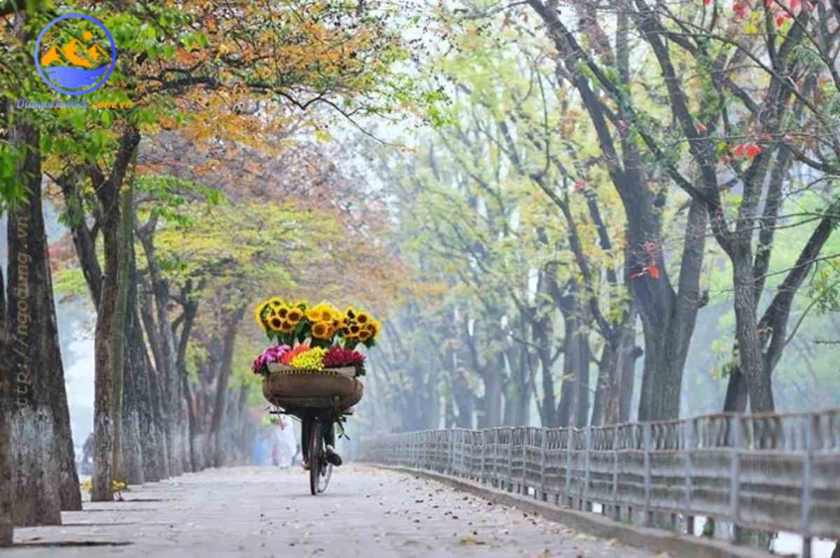 Khí hậu Hà Nội có đặc điểm gì? Hà Nội có mấy mùa? Mùa nào đẹp nhất?