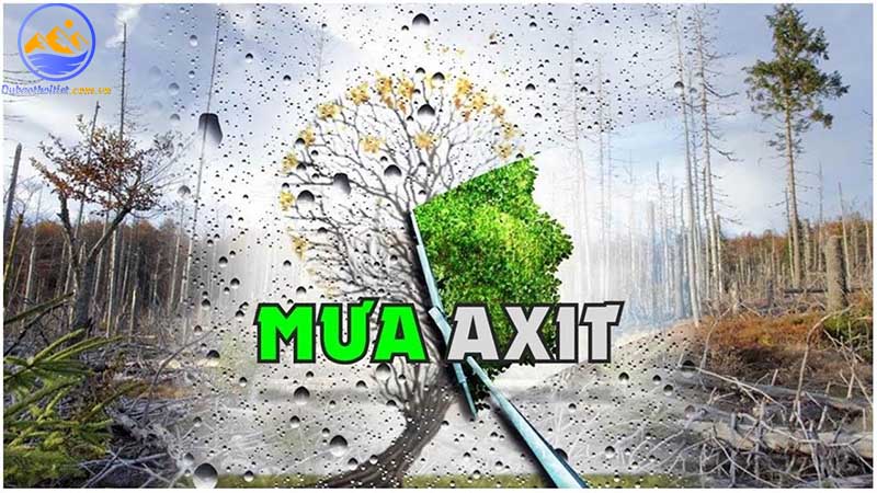 Mưa axit là gì? Mưa axit ảnh hưởng thế nào đến đời sống?