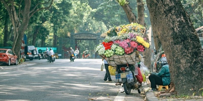 Bỏ túi thời điểm lý tưởng để đi du lịch