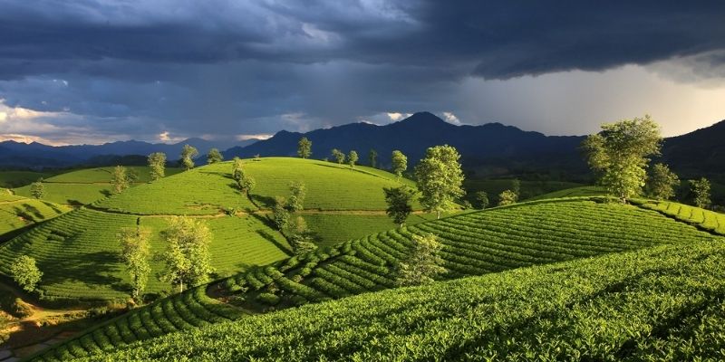 Chia sẻ về thời tiết Phú Thọ trong tuần tới