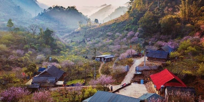 Nắm bắt thời tiết lý tưởng để đi du lịch