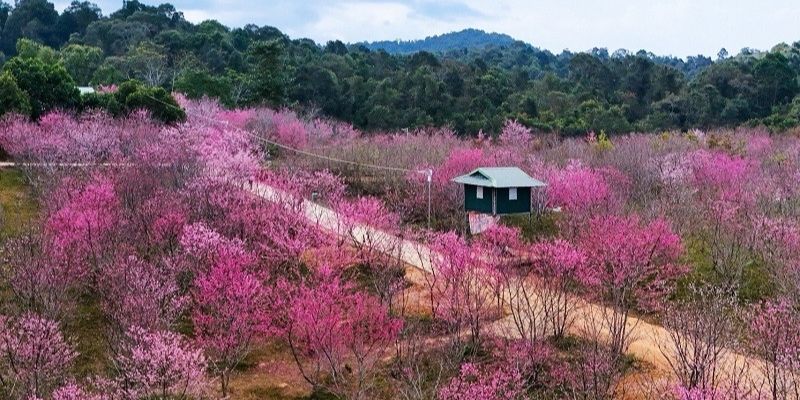 Những lưu ý siêu quan trọng mà bạn cần biết