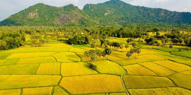Ảnh hưởng của khí hậu đến đời sống An Giang