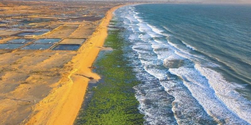 Ninh Thuận biển xanh nắng vàng rực rỡ
