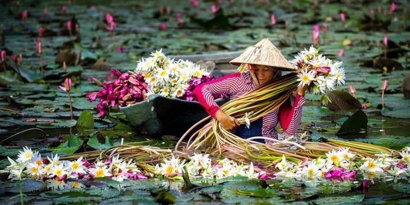 Tìm hiểu về khí hậu nhiệt đới tại Long An