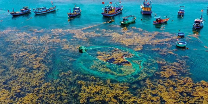 Tình hình nhiệt độ trong các ngày tới
