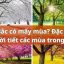 Miền Bắc có mấy mùa?
